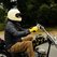 Biltwell Gringo R22.06 Helmet