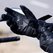 LS2 Octane Gloves